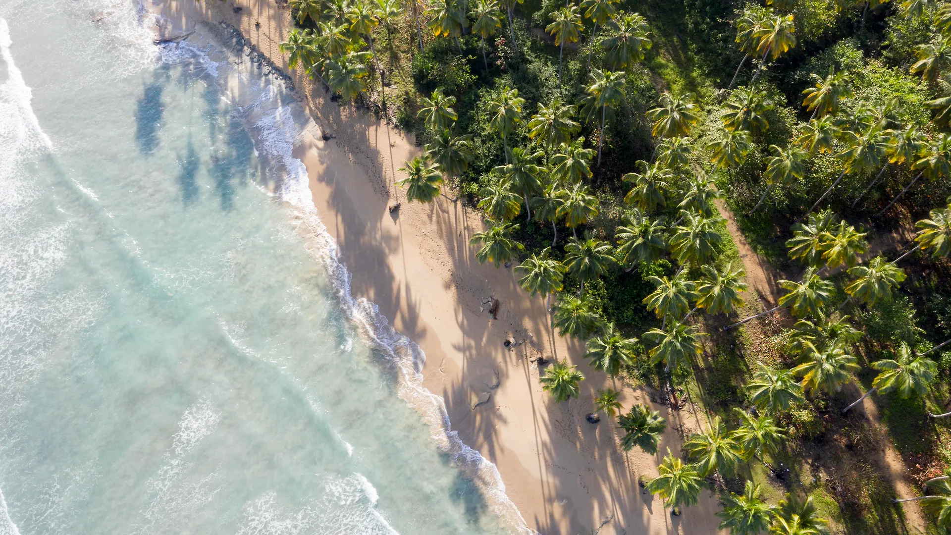 Saman Boutique Hotel By Mint Las Terrenas Resort
